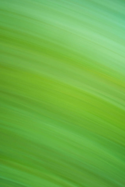 Pitkäaikainen altistuminen liike vihreä hämärä. Nopea nopea liike hämärtää vihreä tausta. - Valokuva, kuva
