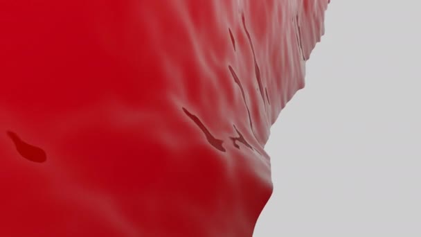 Gros plan de rouge ondulation gelée rouge substance sur un fond blanc. Design. Gelée durcie abstraite vacillant - Séquence, vidéo