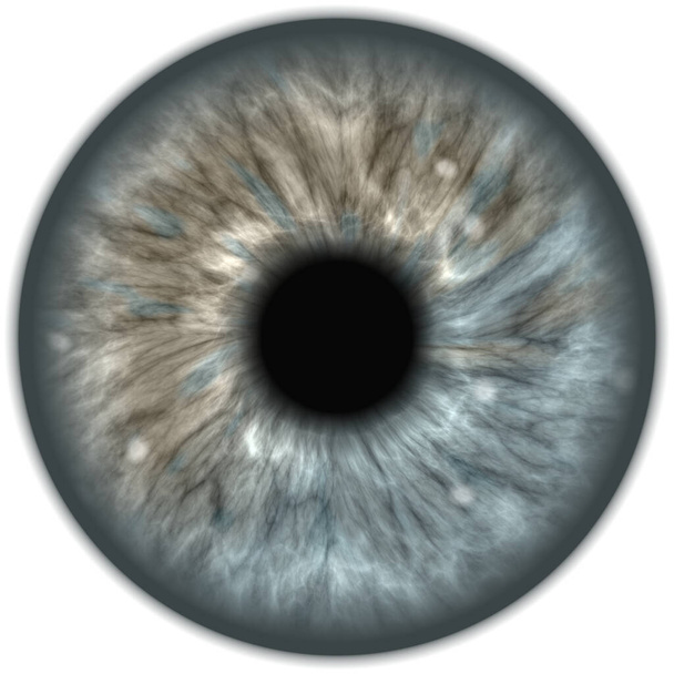 глаз женского лица с голубыми глазами - Фото, изображение