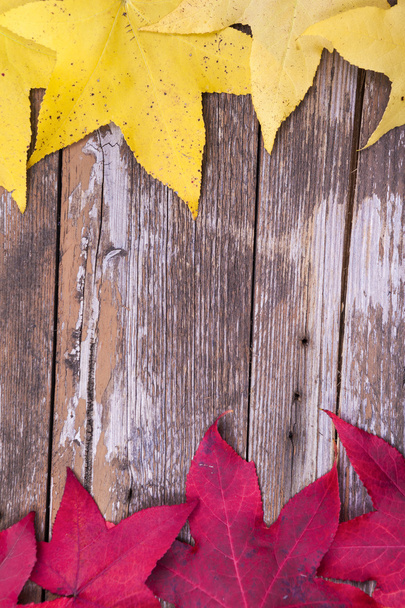 Leaves over wooden background - Photo, Image