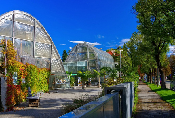 Ogród botaniczny w Graz  - Zdjęcie, obraz