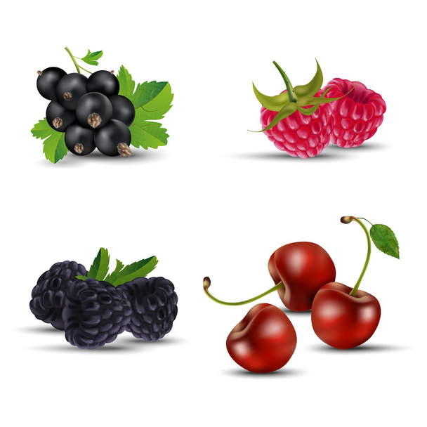 Set of fruits - blackcurrant, raspberry, blackberry and cherry - Vector, Image