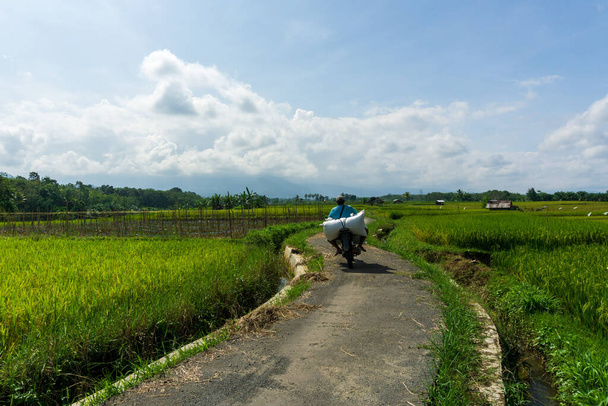 road infrastructure and farmers transporting agricultural sector produce in Indonesia - Photo, Image