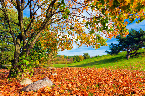 Automne, paysage d'automne
. - Photo, image