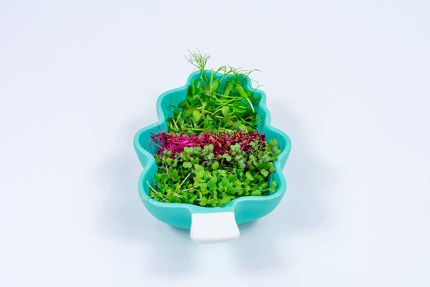 Microgreen sprouts in a plate in the form of a tree on a white background. Close-up. Microgreens, radishes, mustard, arugula, peas, amaranth, antioxidant, detox, diet, salad supplements. Vegan - Fotoğraf, Görsel