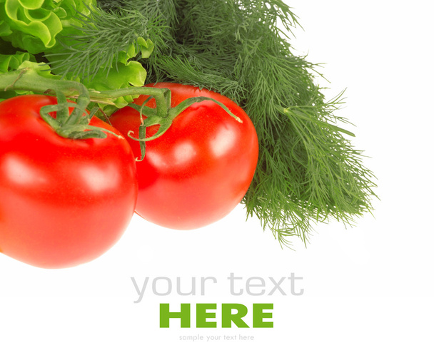 Fresh vegetable isolated on white background - Фото, изображение