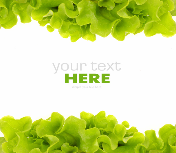 verse groene salade frame - Foto, afbeelding