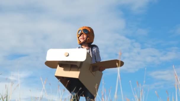 Aranyos álmodozó kislány, aki kartondobozos gépekkel játszik a réten egy napsütéses napon. Boldog gyerek játszik karton repülőgép ellen kék nyári égbolt háttér. Gyermekkori álom képzelet koncepció. - Felvétel, videó