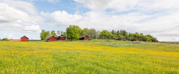 A typically red cottage in a beautiful farm landscape in spring. - Фото, изображение