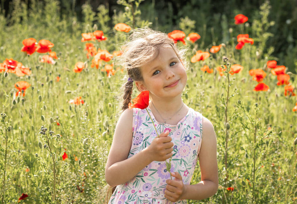 Όμορφο κοριτσάκι σε ένα χωράφι με λουλούδια παπαρούνας, καλοκαιρινή διάθεση, χαρούμενο παιδί, ηλιόλουστη μέρα. - Φωτογραφία, εικόνα