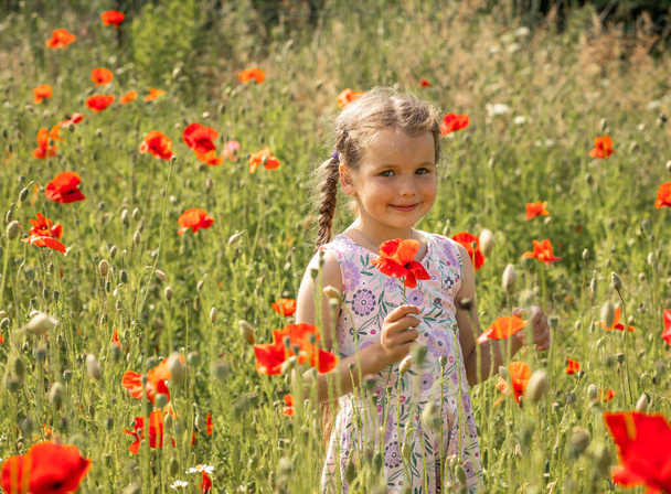 Menina bonita em um campo com flores de papoula, humor de verão, criança alegre, dia ensolarado. - Foto, Imagem