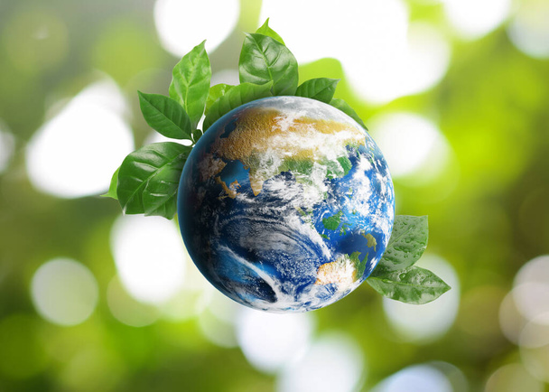 Recycling concept. Earth planet with green leaves on blurred background - Photo, image