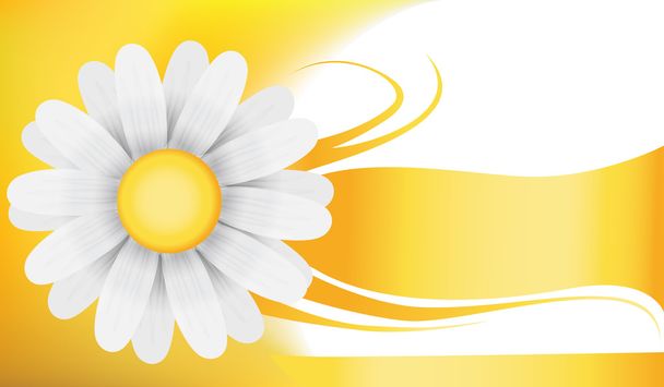 Camomile on yellow background - Vector, imagen