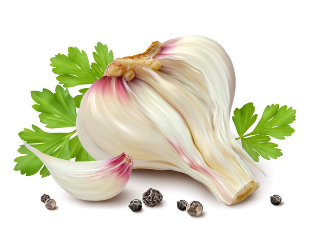 Garlic parsley pepper. Isolated vector illustration - Vektör, Görsel