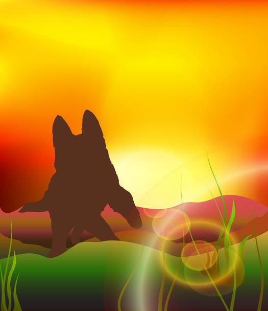 Silhouette del cane da corsa
 - Vettoriali, immagini