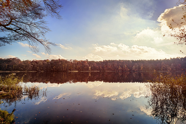panorama de árboles de otoño en un lago vidrioso
 - Foto, imagen