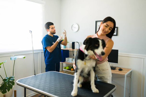 Handsome vet preparing a vaccine shot or injection for a border collie dog with a young woman at the animal hospital  - Фото, зображення