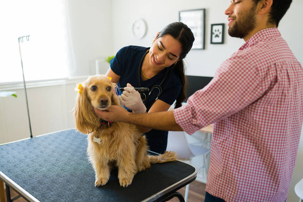 Молодий чоловік тримає свого наляканого собаку в клініці тварин. Щасливий професійний ветеринар робить медичний огляд
 - Фото, зображення