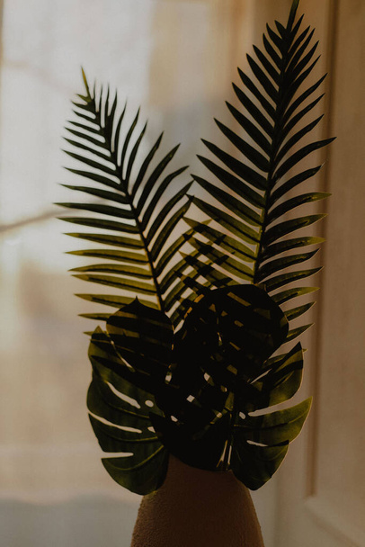 A vertical shot of a tropical plant in a vase at home - Fotó, kép