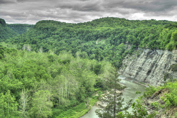 A beautiful high angle view of green dense trees at the Letchworth state park in New York - Foto, imagen