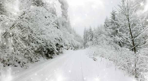 Fond de Noël avec route enneigée dans la forêt
 - Photo, image