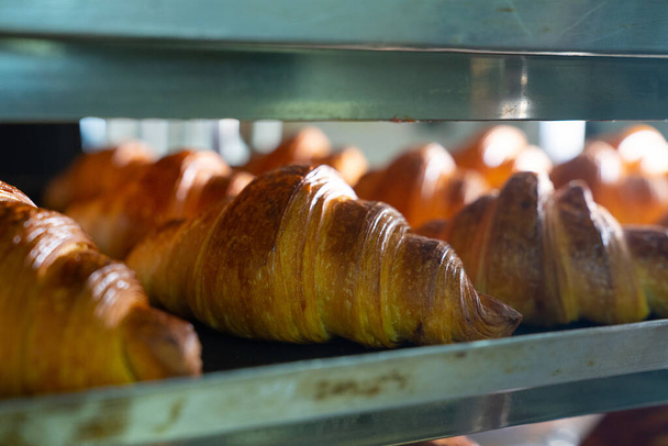 A closeup of tasty croissants in an oven - Foto, afbeelding