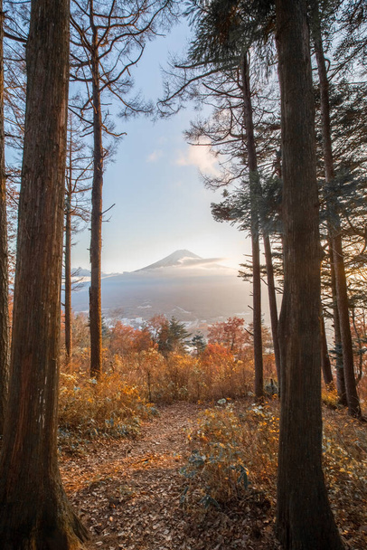 A vertical distant view of the Mount Fuji with forest in the foreground in Japan - Foto, imagen