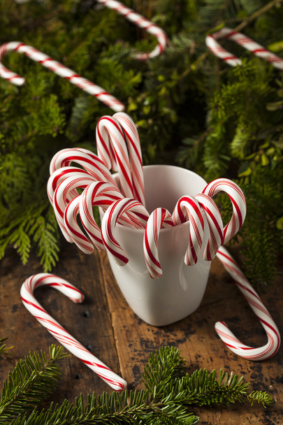 Festive Peppermint Candy Canes - Photo, Image