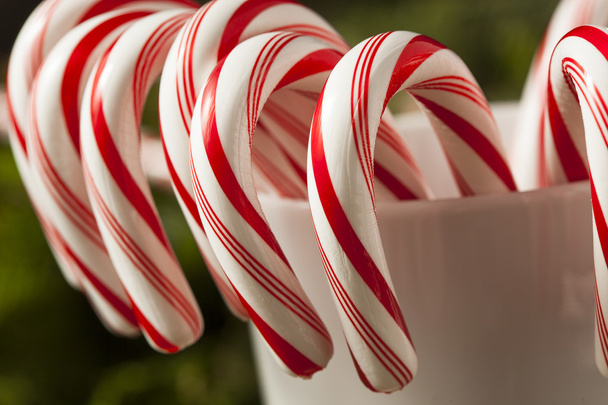 Festive Peppermint Candy Canes - Фото, изображение