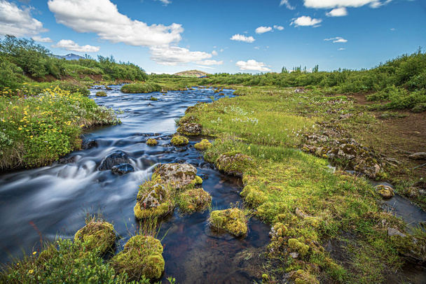 7月のアイスランドの緑の銀行がある川の自然景観 - 写真・画像