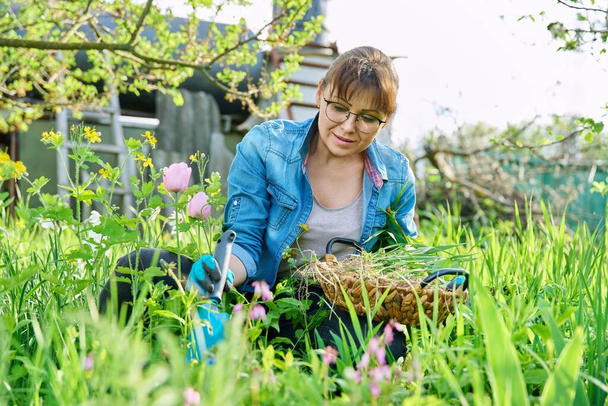 Woman with garden shovel in gloves weeds in flower bed with blooming spring flowers. Spring season, nature beauty, work, backyard gardening landscaping, leisure hobby, people concept - Fotó, kép