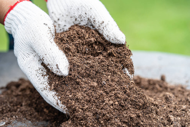 Hand houden turf mos organisch materiaal te verbeteren bodem voor de landbouw organische plantaardige teelt, ecologie concept. - Foto, afbeelding