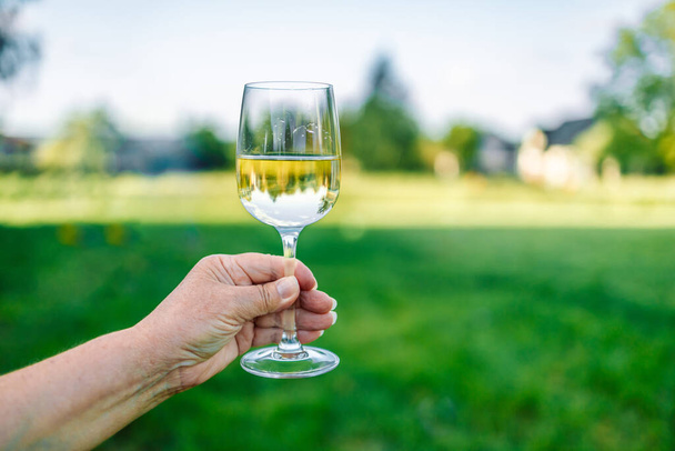 Frau hält Glas Weißwein über grünem Naturhintergrund.  - Foto, Bild