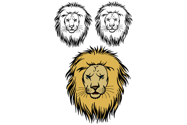 Lions - Vecteur, image