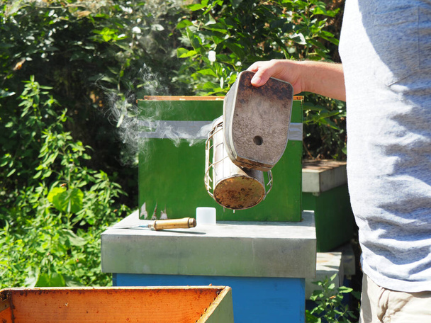 Beekeeper working with bees and beehives on the apiary. Beekeeping concept. Beekeeper harvesting honey Beekeeper on apiary. - Zdjęcie, obraz