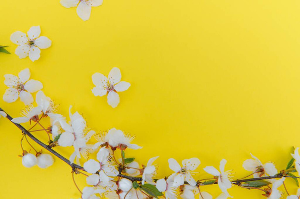 Spring background table. May flowers and April floral nature on green. For banner, branches of blossoming cherry against background. Dreamy romantic image, landscape panorama, copy space. - Photo, Image