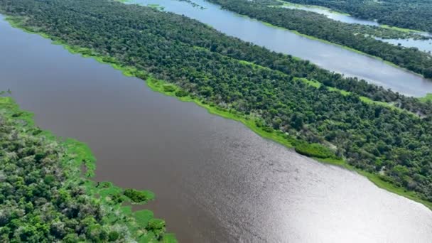 Amazon River at Amazon Rainforest. The biggest tropical rainforest of world. Manaus Brazil. Amazonia ecosystem. Nature wild life landscape. Global warming emissions reduction. Amazon river wild life. - Footage, Video