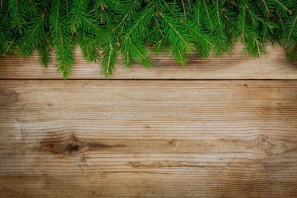 Pine tree border on old wooden background - Fotografie, Obrázek