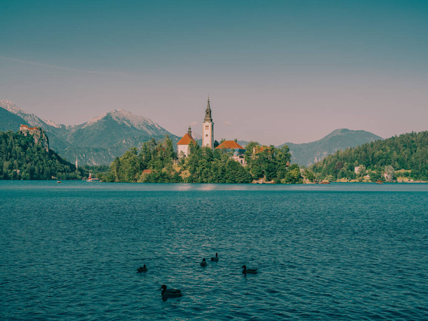 beautiful view of the lake bled  - Valokuva, kuva