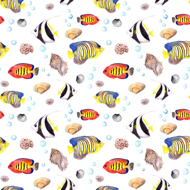 Exotic fish (tropical fish) and sea shells. Repeating seamless pattern. Watercolor - Fotoğraf, Görsel