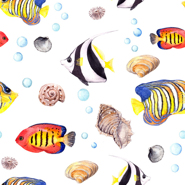 Exotic fish (tropical fish) and shell. Repeating seamless pattern. Watercolor - Foto, Imagem
