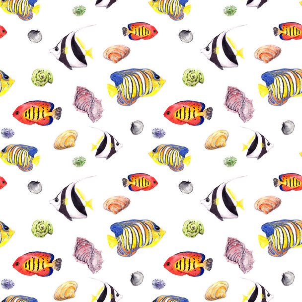 Exotic fish (tropical fish) and seashell. Repeating seamless pattern. Watercolor - Fotoğraf, Görsel