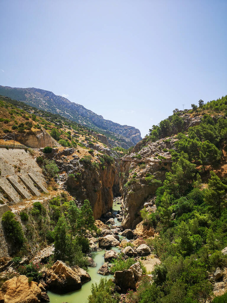 A vertical shot of a narrow river surrounded by wild landscape - Zdjęcie, obraz