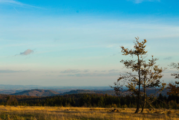 A beautiful landscape view of trees in the field against mountain dense forest and blue sky in a sunny day - Foto, Imagem