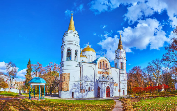 Panorama of colored trees and green lawn of autumn park and historic Transfiguration Cathedral, Chernihiv, Ukraine - Foto, imagen