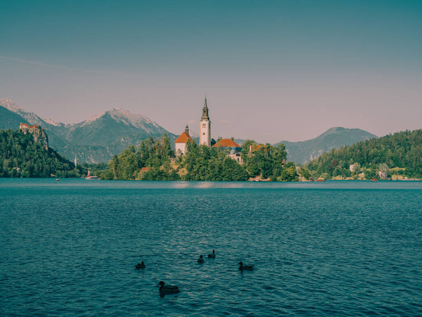 A beautiful shot of a cathedral placed on a Lake Bled island. - Φωτογραφία, εικόνα