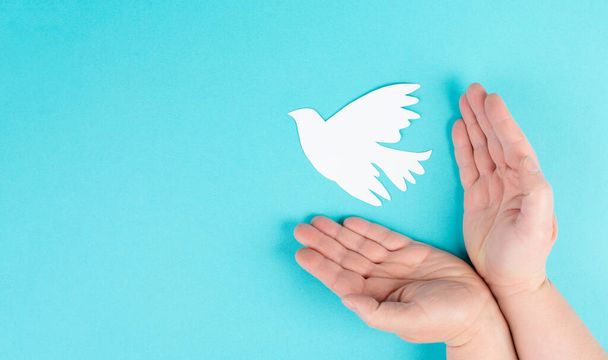 Holding a white dove in the hands, symbol of peace, paper cut out pigeon, copy space for text, blue colored background - Фото, изображение