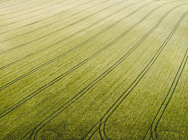 An aerial view of lush green fields in Saxony, Germany - Zdjęcie, obraz