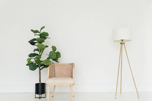 An atmospheric cozy shot of office interior with chair, plant and lamp in minimalistic setting - Fotó, kép