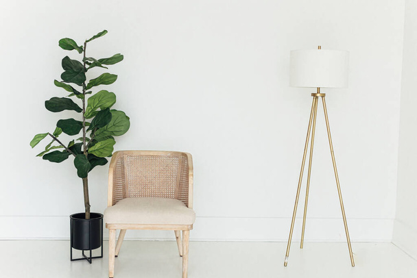 Un plan confortable atmosphérique de l'intérieur du bureau avec chaise, plante et lampe dans un cadre minimaliste - Photo, image